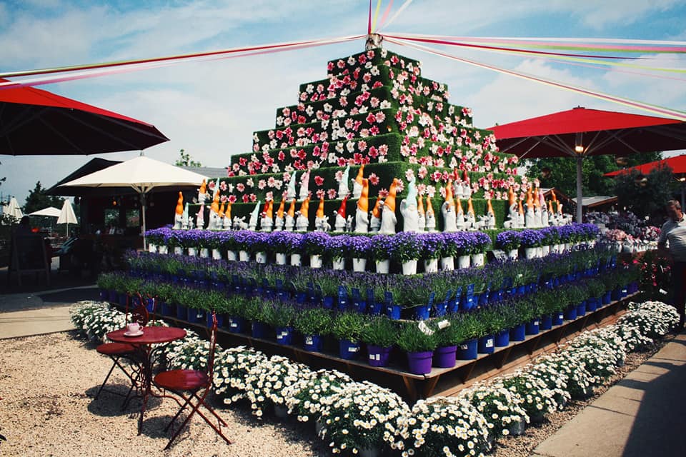 Top Orte für Kürbis in Köln | Gertrudenhof | Mr. Köln | Foto: Gertrudenhof Top Orte für Kürbis in Köln | Gertrudenhof | Mr. Köln | Foto: Gertrudenhof